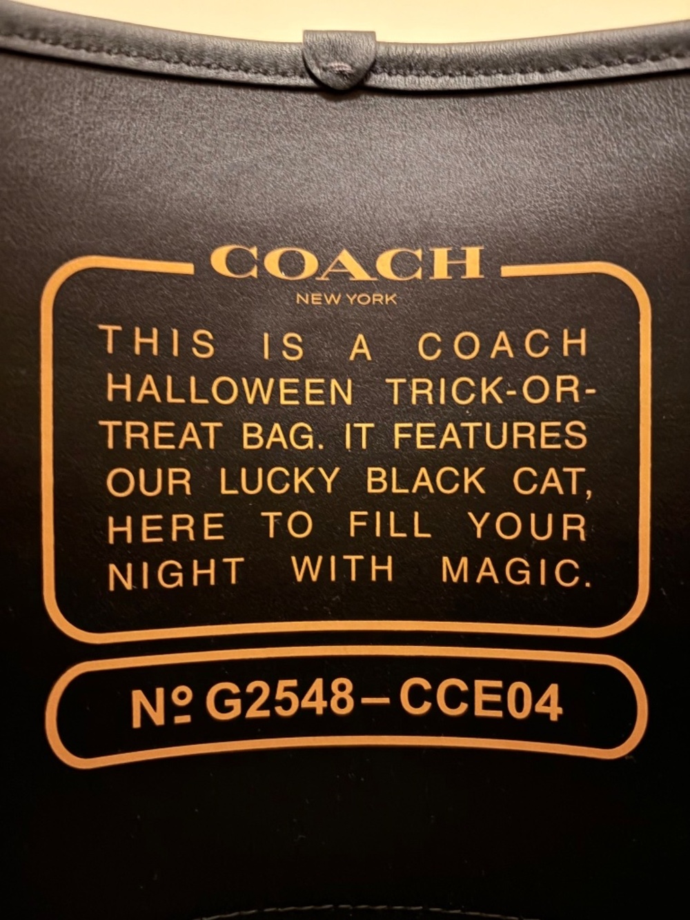 🐈⬛ 🎃 Coach Halloween Black Cat Trick-r-Treat Bucket - NWT - Picture 3 of 9